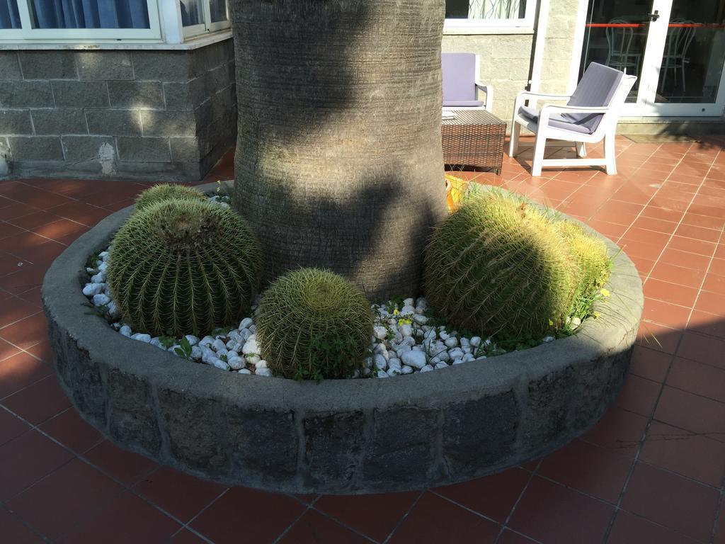 Hotel Villa Al Parco Forio di Ischia エクステリア 写真